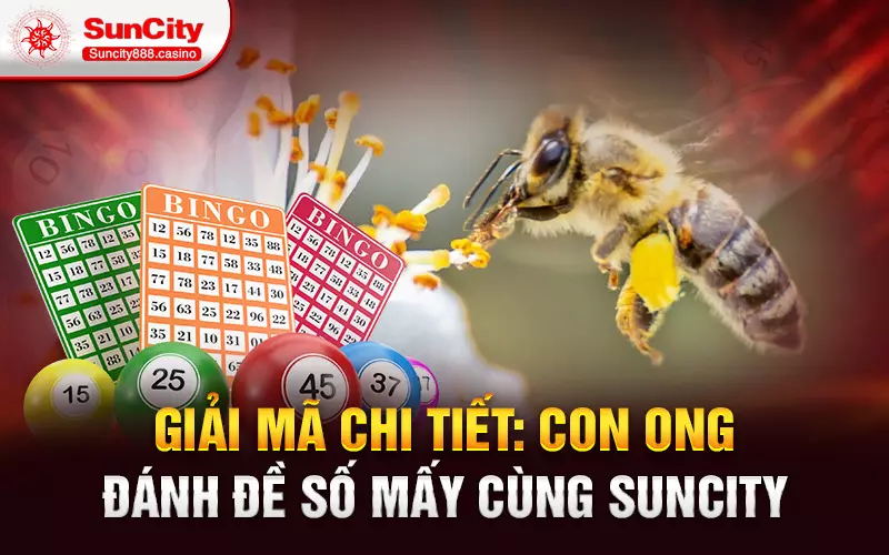 Giải mã chi tiết: Con ong đánh đề số mấy cùng Suncity